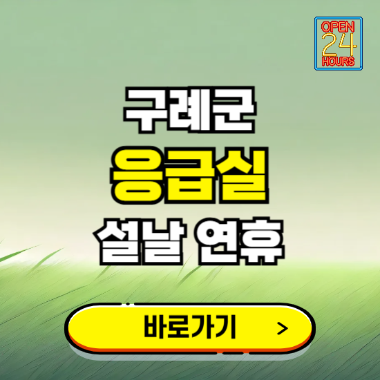 구례군 설날 연휴 비상진료 응급실 병원 찾기 ❘ 내근처 24시 야간 심야 휴일 가능한 곳