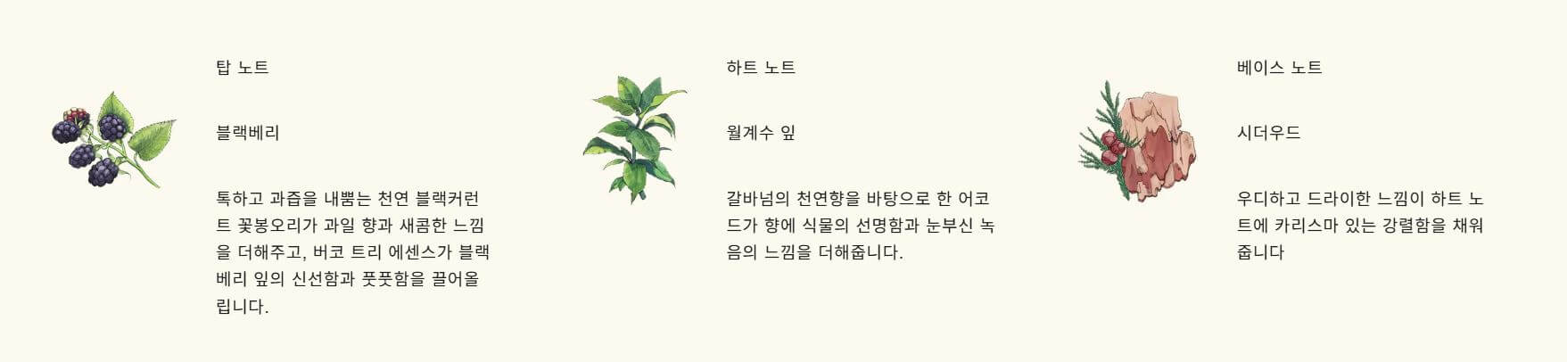 조말론 블랙베리 앤 베이 코롱 향수