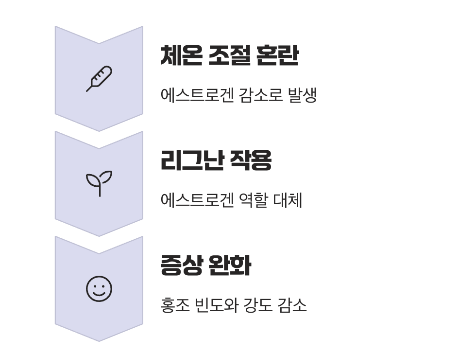 안면홍조, 그 뜨거움을 잠재우다
