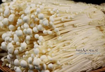 팽이버섯 효능_19