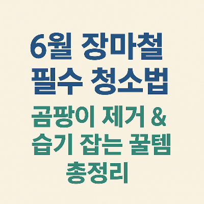 6월 장마철 필수 청소법