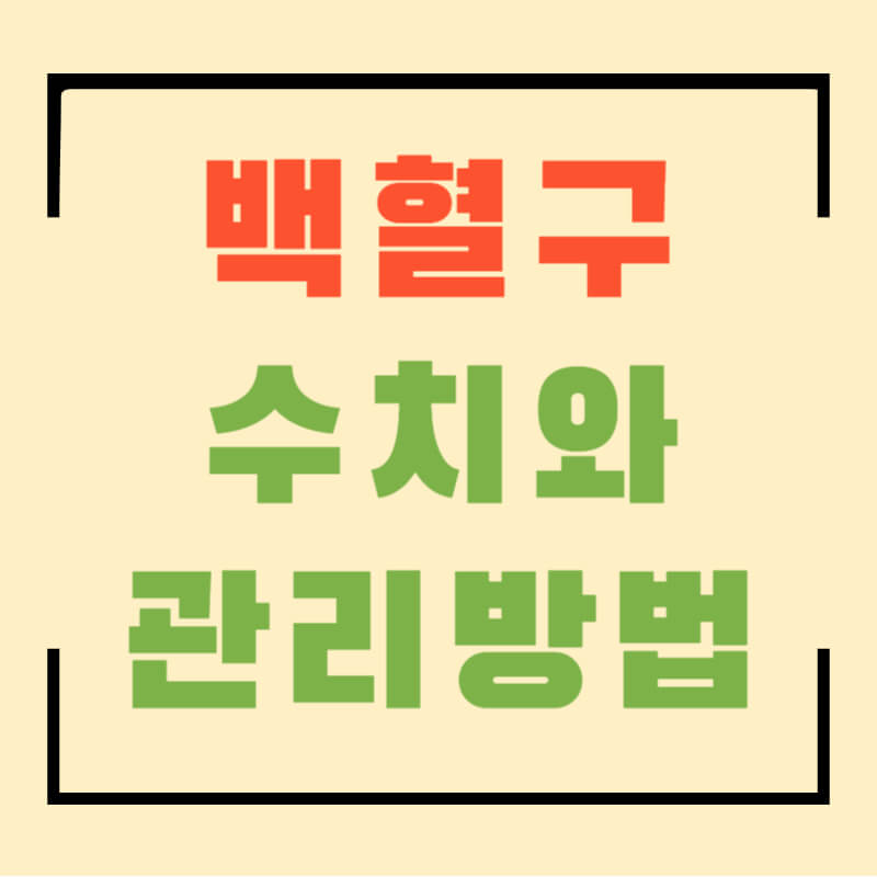 백혈구수치와관리방법섬네일