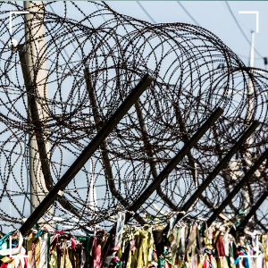 북한군 군사분계선 침범6