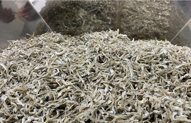 6시내고향-통영-멸치-해성씨푸드