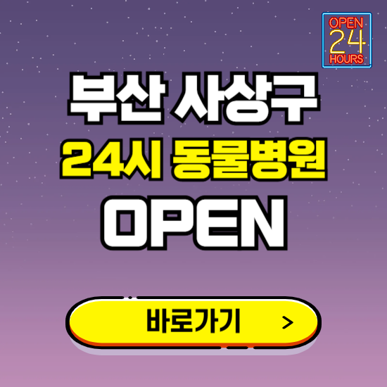 부산 사상구 24시 동물병원 진료하는 곳 ❘ 설날 휴일 야간 심야 문여는곳 찾기 ❘ 응급진료