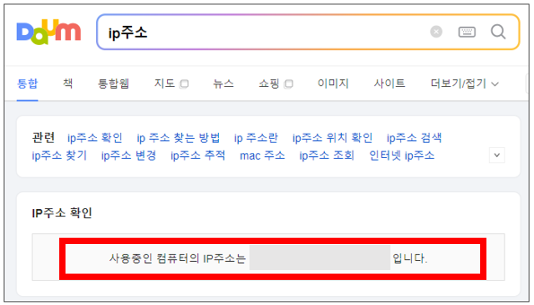 IP주소 검색하는 다음 포털 화면 캡처
