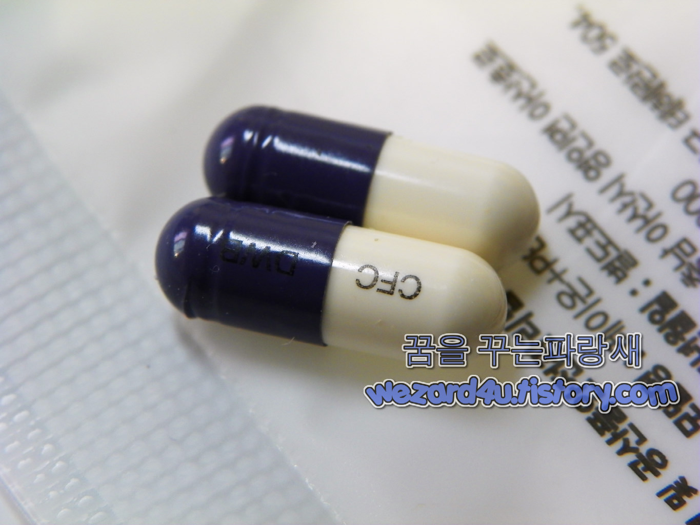 클렉스캡슐(세파클러수화물) 343.5mg