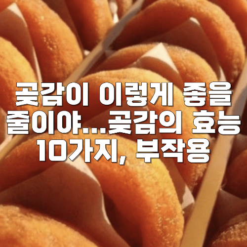 곶감의 효능