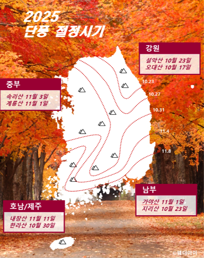 단풍절정시기