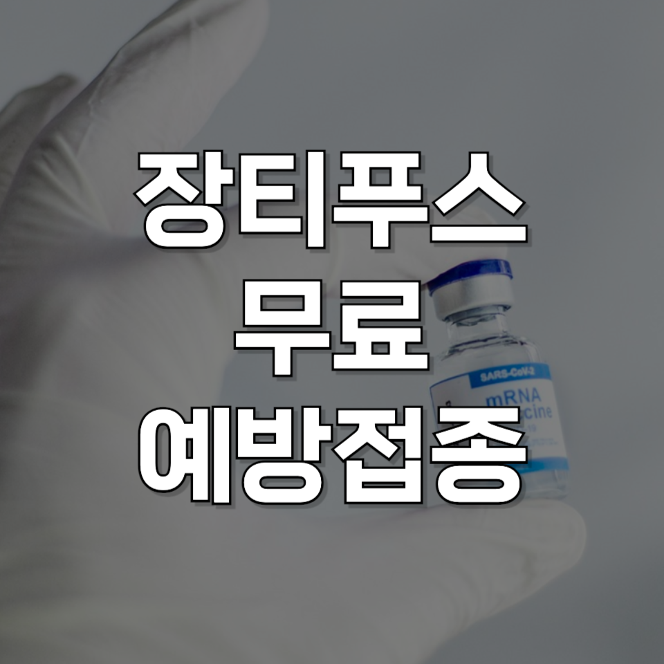 해외여행 전 장티푸스 예방접종, 보건소에서 무료로 맞는 법 확인하기