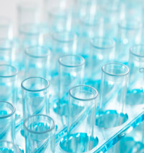 신풍제약 주가 전망 2025년 최신