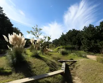 천리포수목원 목련 축제_24