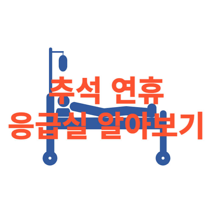 추석 연휴 응급실 찾아보기