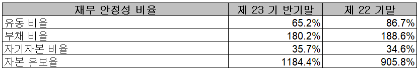 하나마이크론 - 재무 안정성 비율