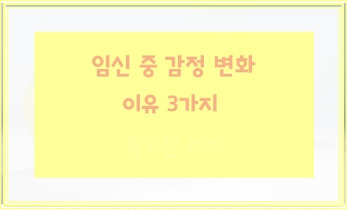 임신 중 감정 변화 일어나는 이유 3가지