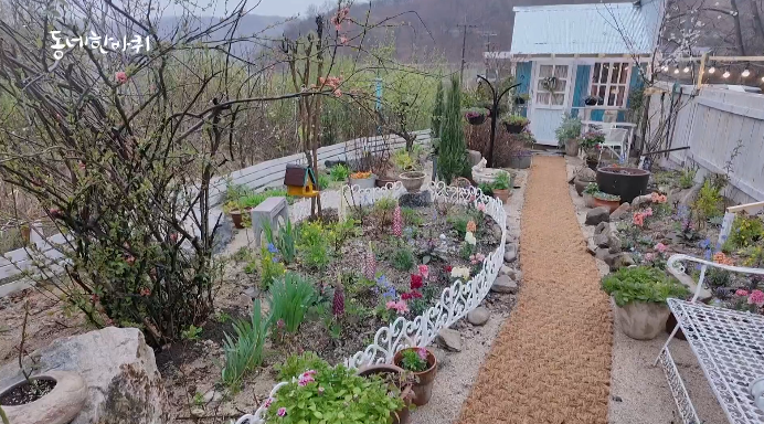 동네한바퀴-충주
