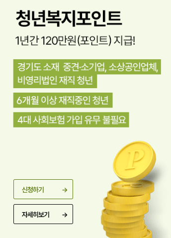 2025 경기도 청년 복지포인트 신청 사용처 총정리