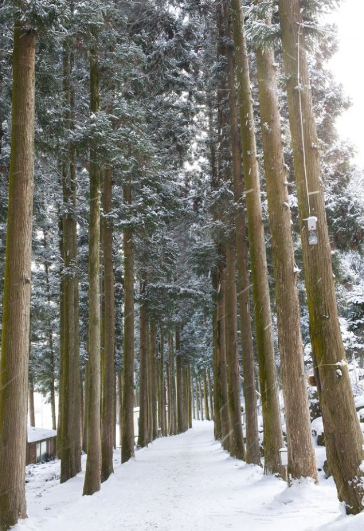 1월 전라남도 가볼만한곳 추천 ❘ 새해 신년 국내 겨울 여행지 ❘ 전라도 명소 ❘ 가족 실내 데이트