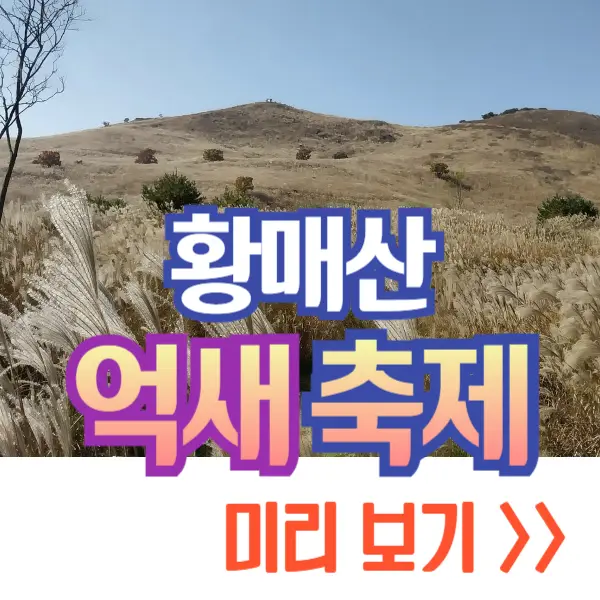 황매산 억새축제