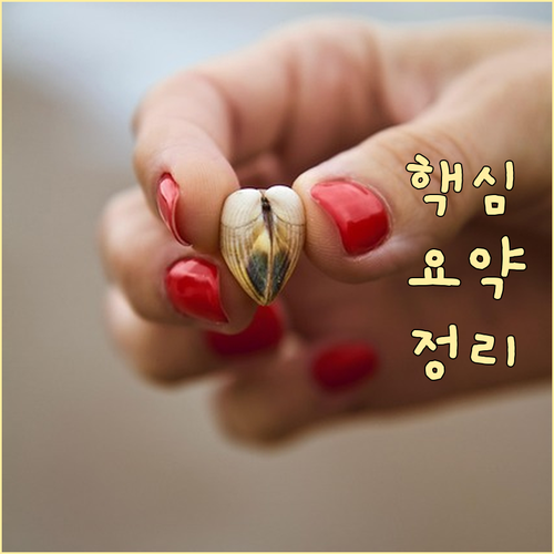 차상위계층 혜택 총정리: 의료비, 교..