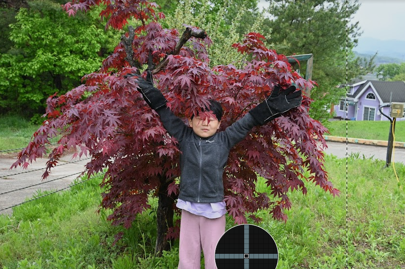 사이트가 넓은 용인 단풍숲 캠핑장에서 2박 3일 후기 사진 5