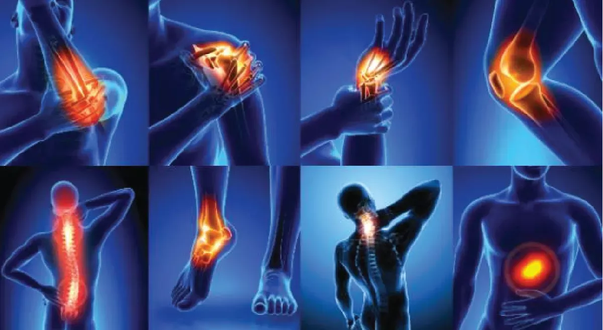 만성 통증을 완화하는 식품