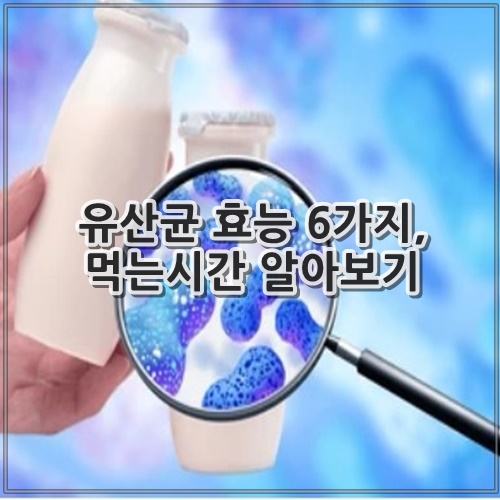 유산균 효능 6가지, 먹는시간 알아보기