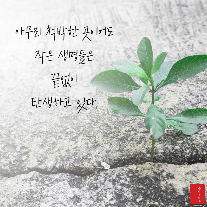 힘이되는 좋은 글귀 짧은 인생 명언 문구 모음