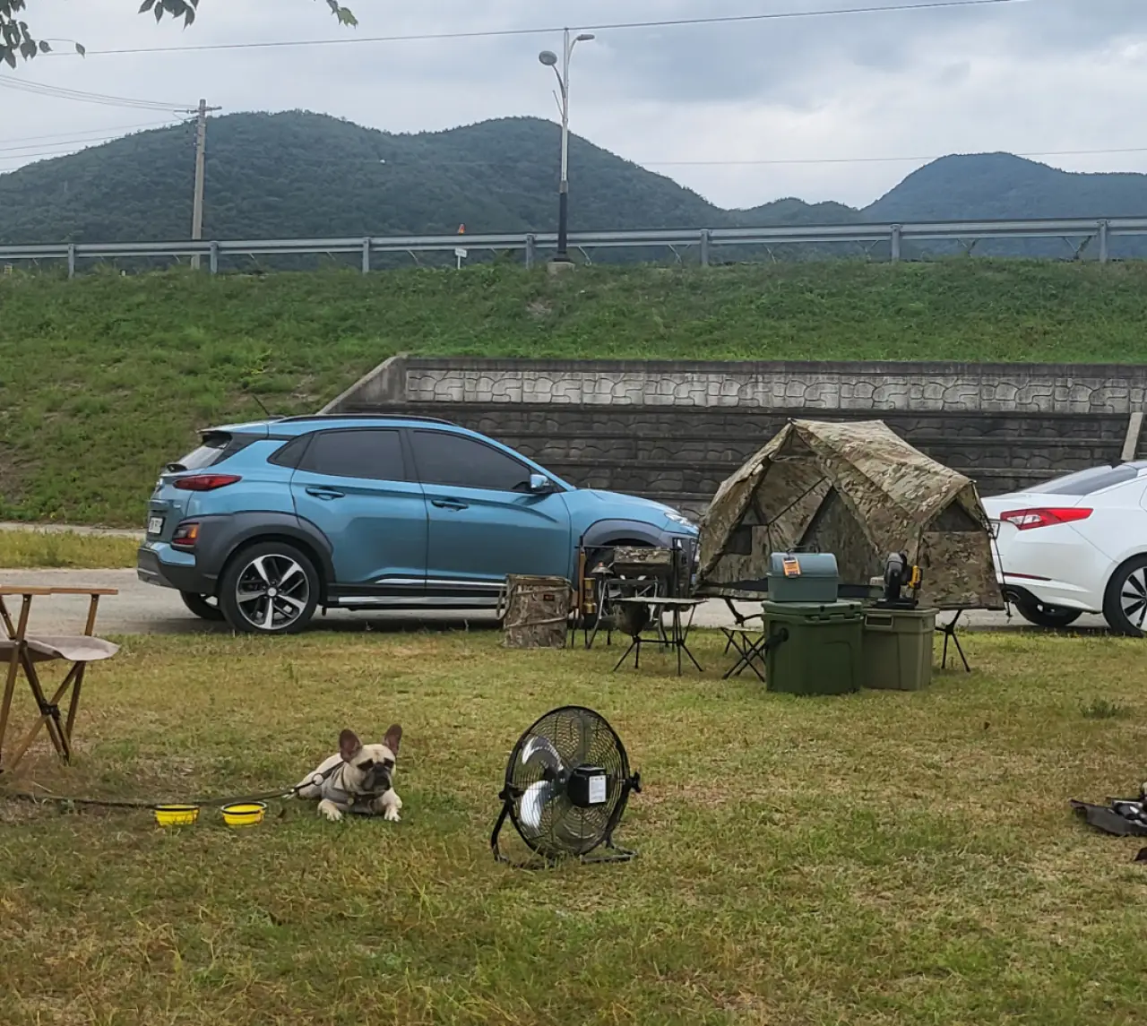 공원에서-애완견과-함께-캠핑-하는-모습