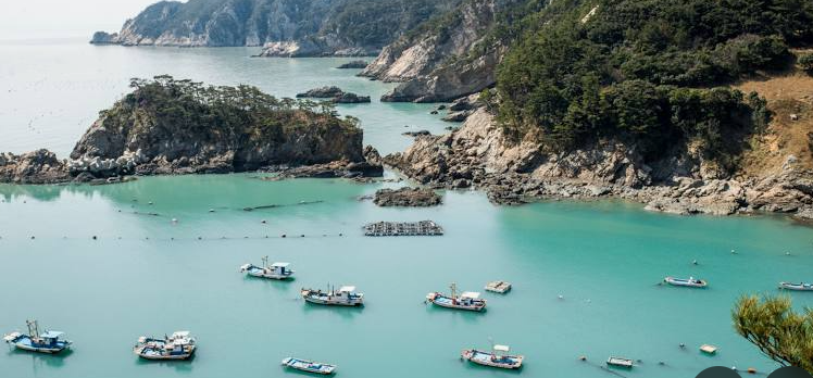 흑산도 배시간표, 목포 흑산도 배편 예약방법