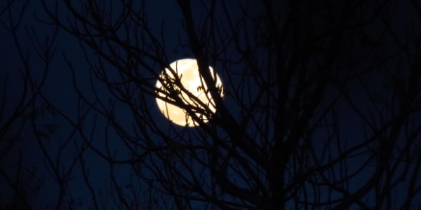 아이폰&amp;#44; 갤럭시로 달 사진 찍는 방법 포스팅 관련 이미지