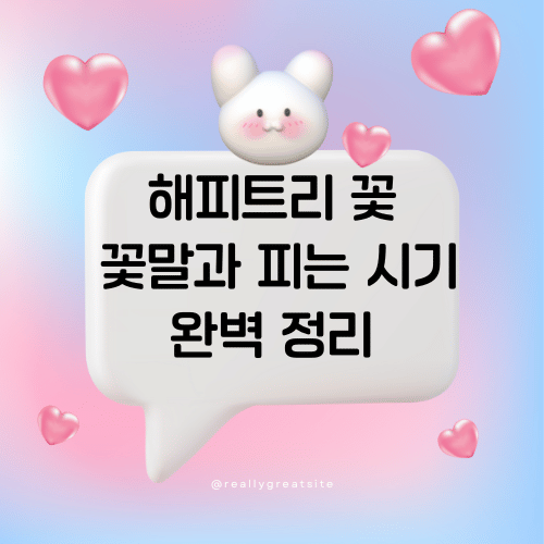 해피트리 꽃의 꽃말과 피는 시기 완벽 정리