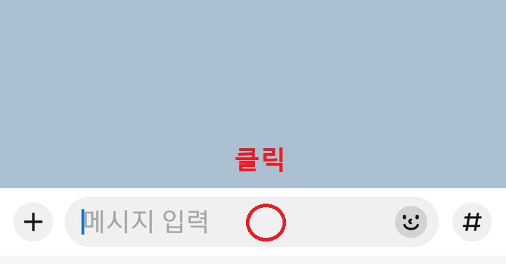 메시지 입력 창 보임