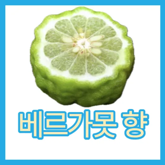 베르가못 향