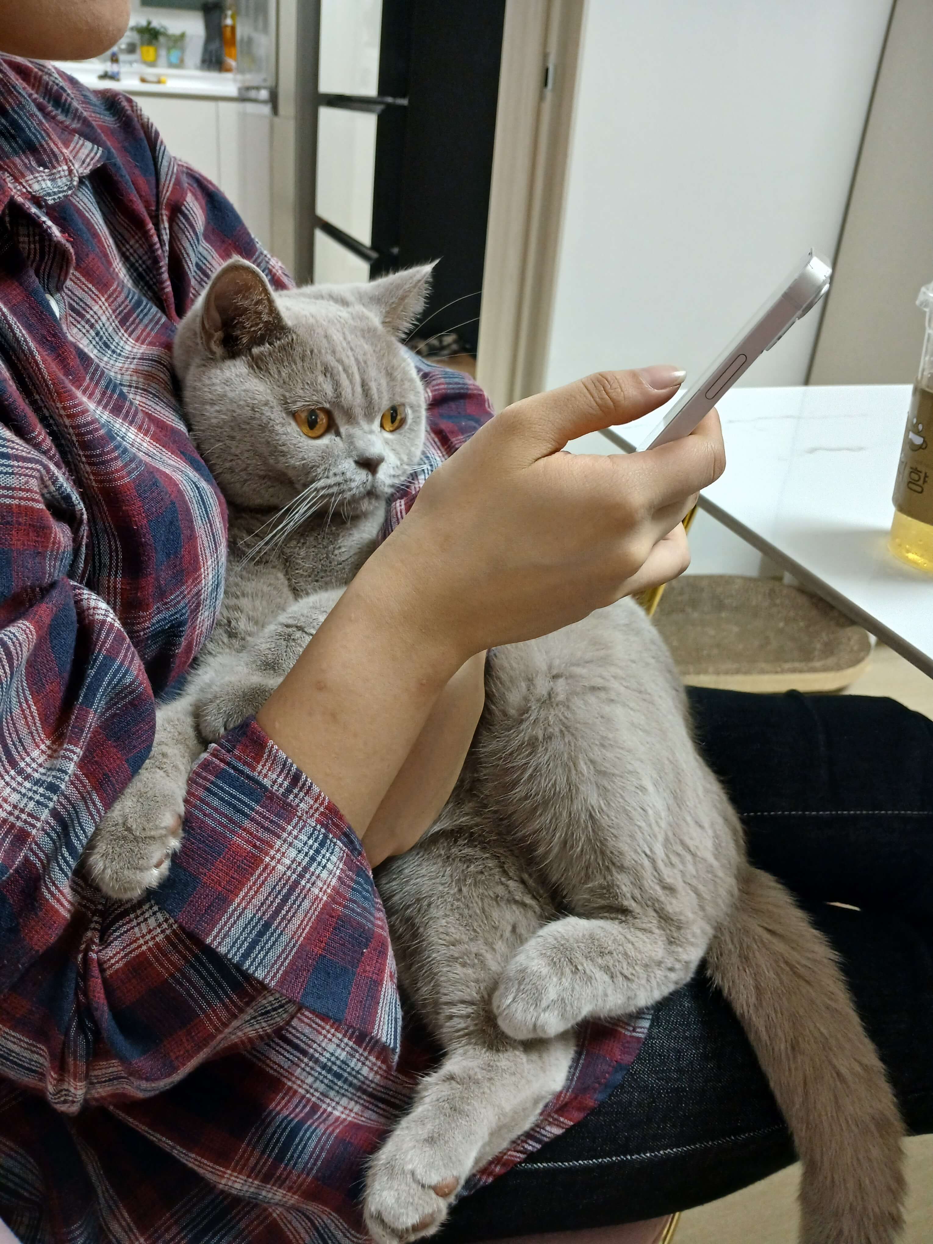 이사하는 동안 스트레스를 줄이기 위해 마을 카페에서 시간을 보냈어요