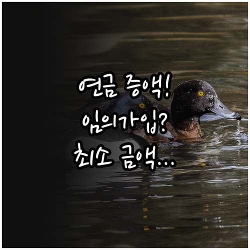 국민연금 임의가입 최소 납부액부터 연..