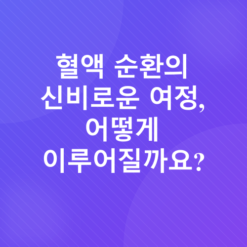 혈액순환_1