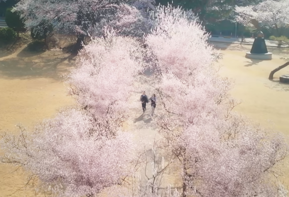 닥터슬럼프 드라마 정보 몇부작 촬영지 등장인물