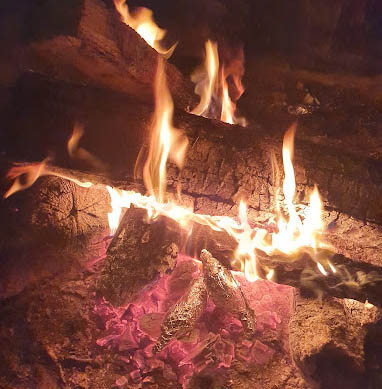 제부도 조개구이 민박 횟집 '어가촌'