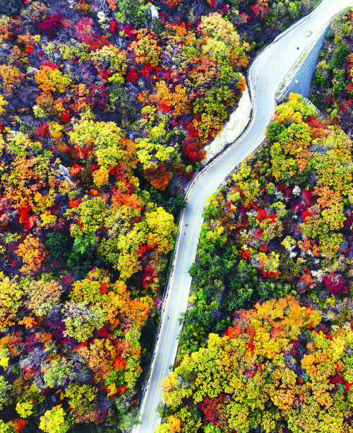 설악산 가을단풍