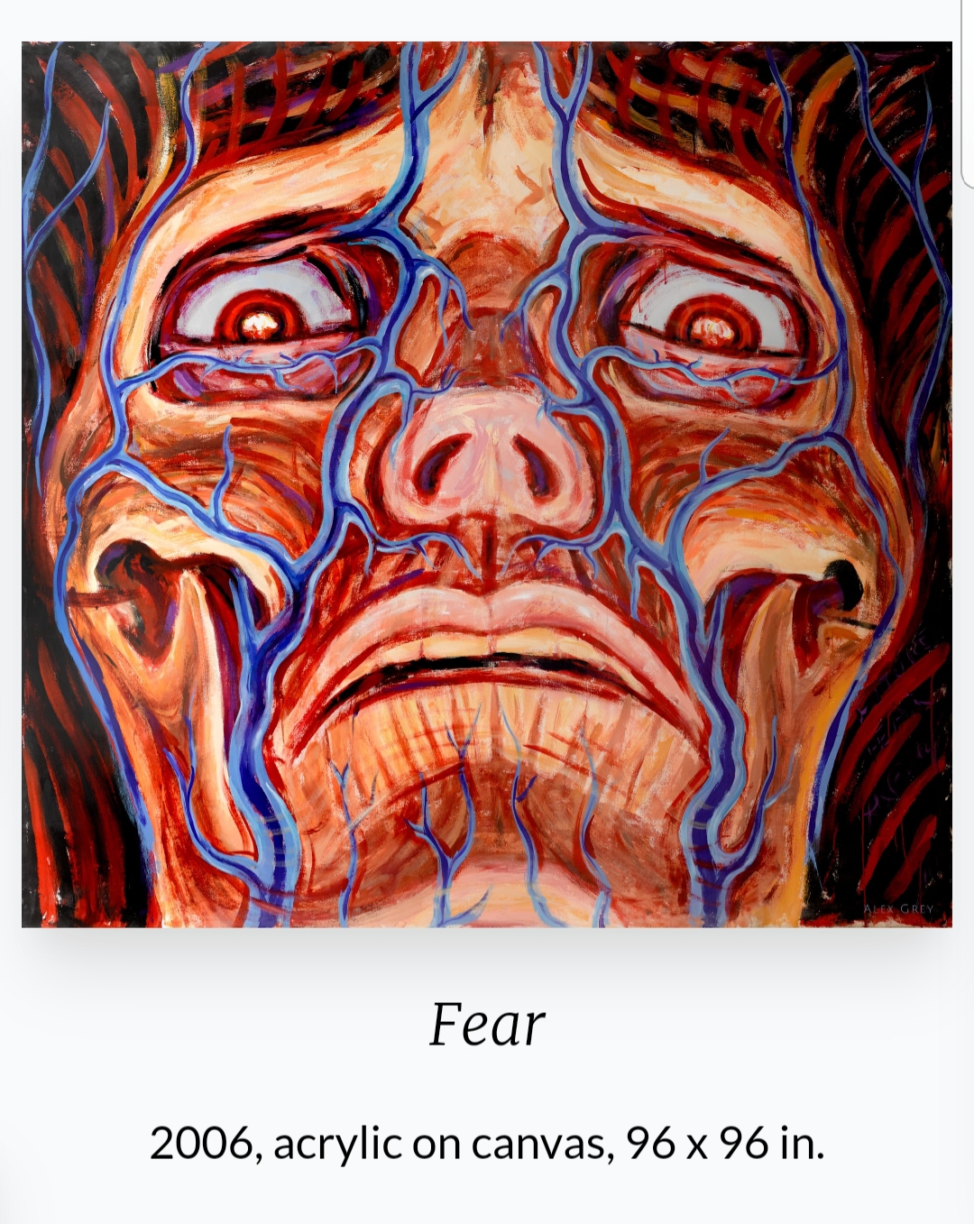 Alex Grey(1953~ ) 작품
'Fear'