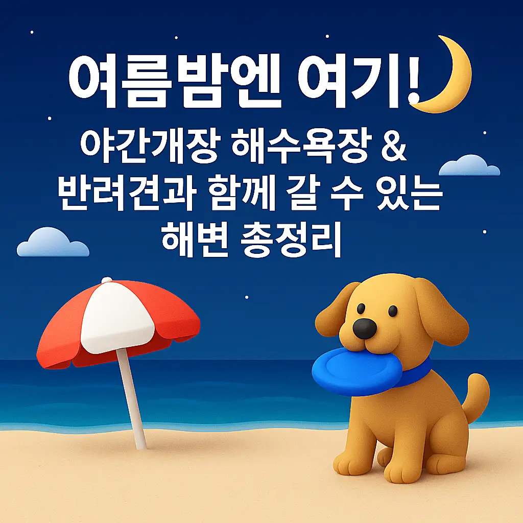 야간 개장 해수욕장 전경