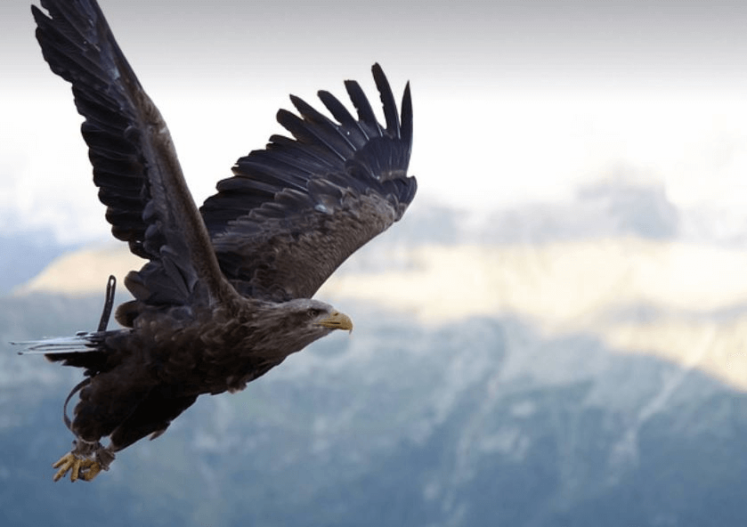 신미일주와 비슷한 성격의 매