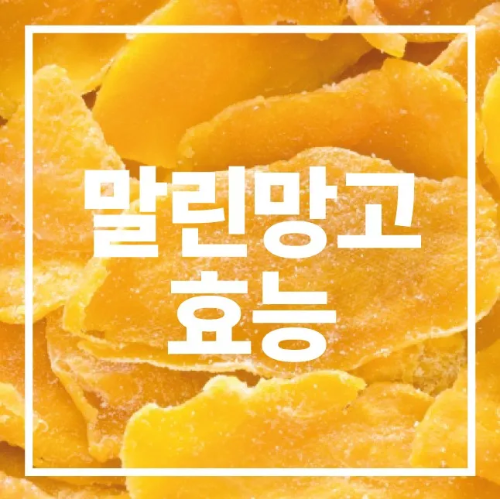말린망고 효능