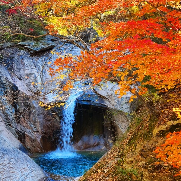 설악산 주전골 흘림골 오색코스 단풍명소 단풍시기 강원도 가을 단풍 여행지 추천