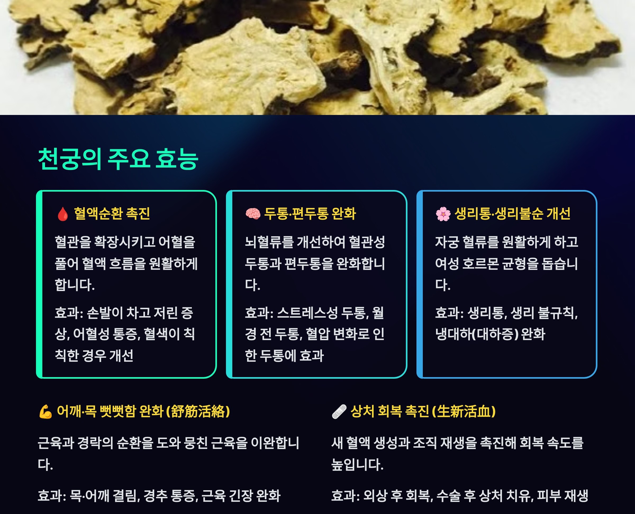 천궁의 효능