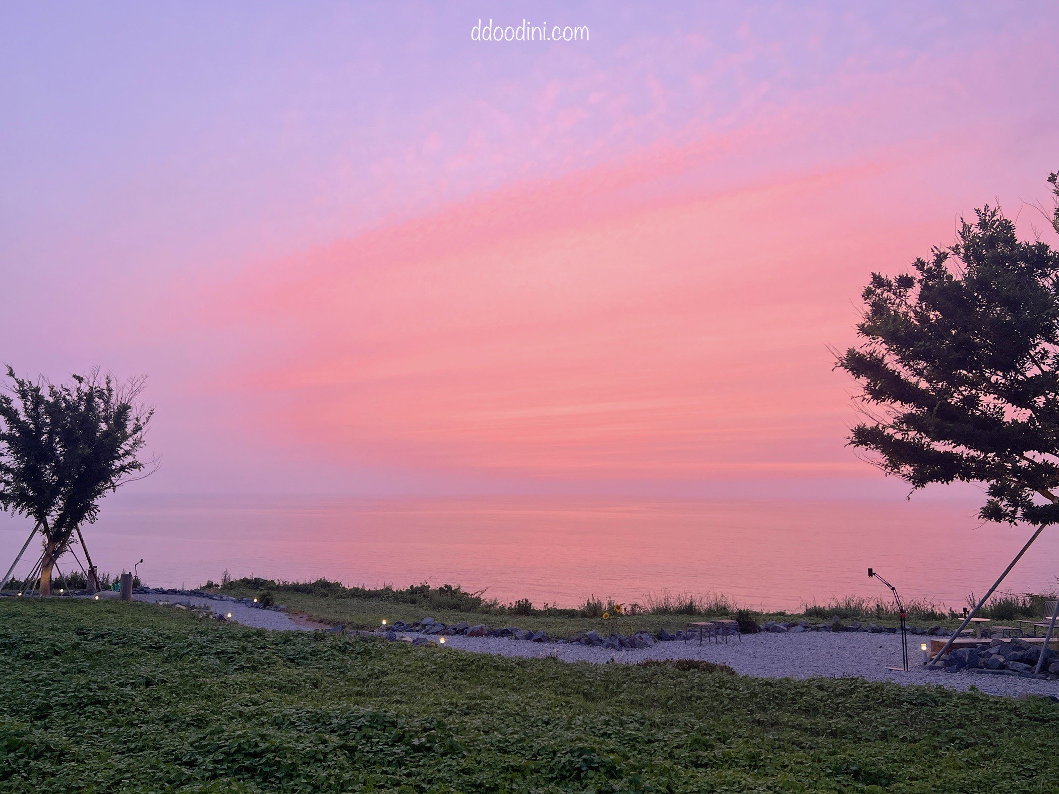 백수해안도로 보리