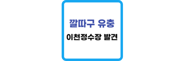 깔따구-유충