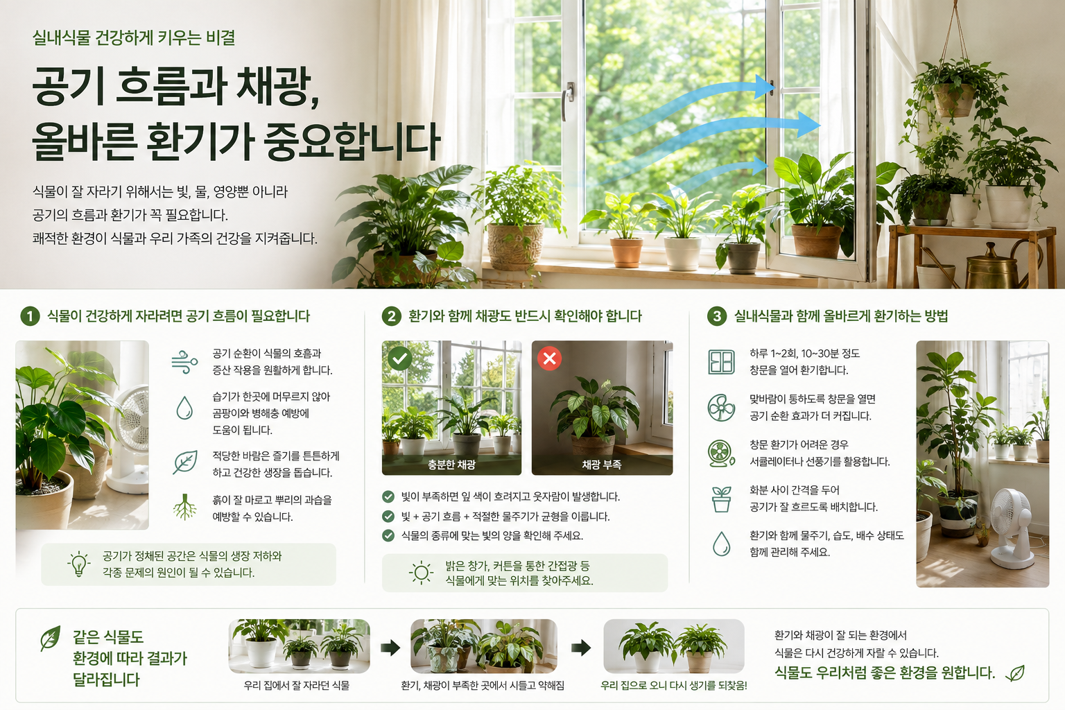 실내식물 건강하게 키우는 법, 공기 흐름과 채광 그리고 올바른 환기