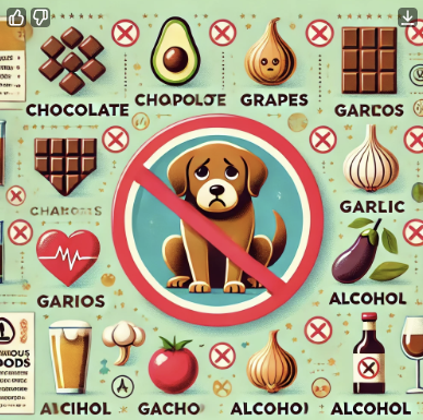 강아지가 먹으면 안되는 음식 관련 사진